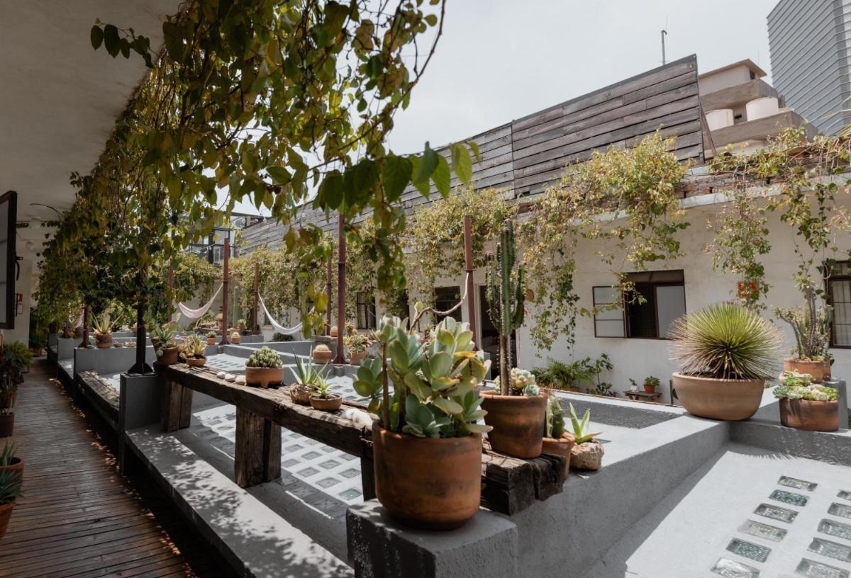 Casa Lomah Hotel Mexico City Exteriör bild